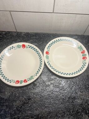2 FARM FRESH CORELLE Dessert plates. RETIRED. REPLACEMENT dishes. Like new